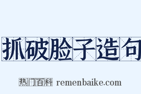 抓破脸子造句是什么意思的图片